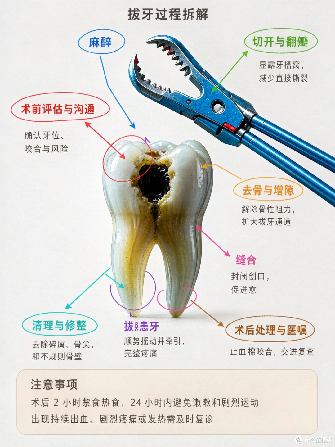 智齿不痛不用拔?我把牙医没空跟你说的,一次说清
