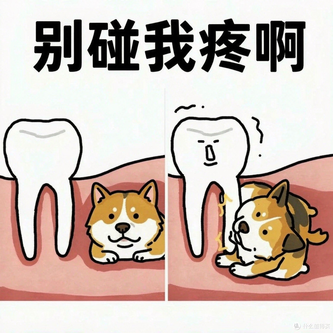 智齿不痛不用拔?我把牙医没空跟你说的,一次说清