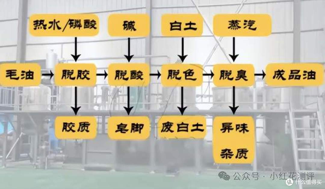 调和油都是脏油?西木博士批评调和油、精炼油,到底该不该吃?