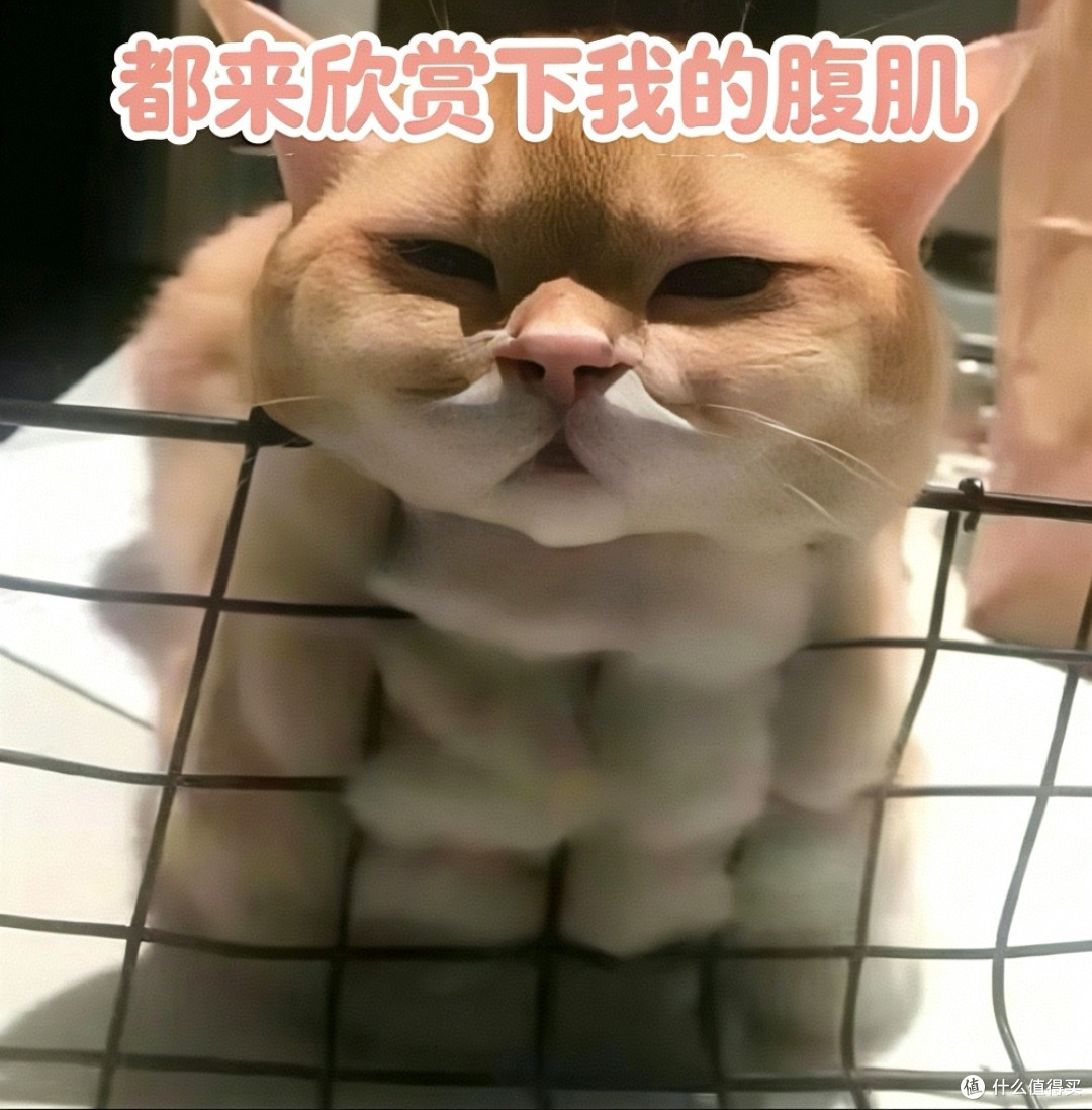 就算是全北京最有腔调的Luke,洗澡时这几个地方也不能糊弄