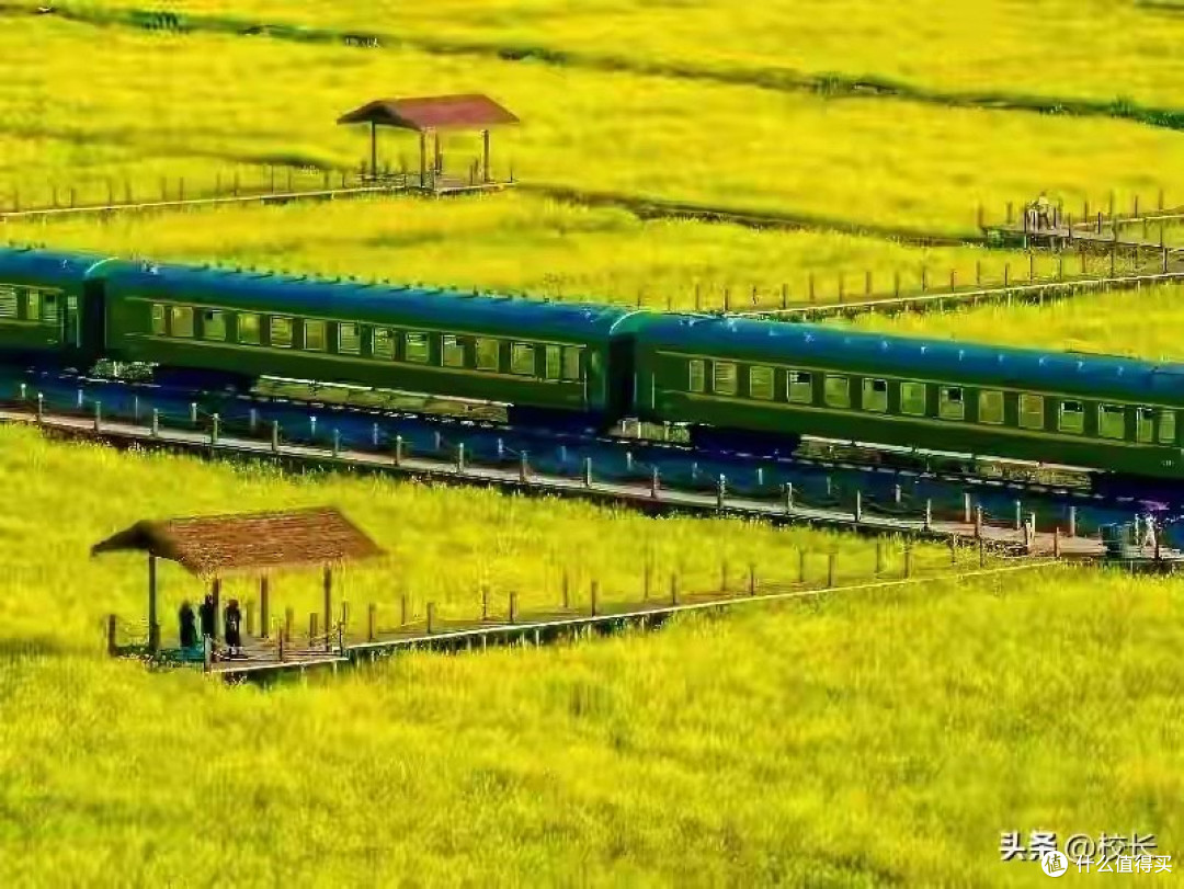 给父母买哪种海参?2026年送给爸妈的淡干海参选购攻略
