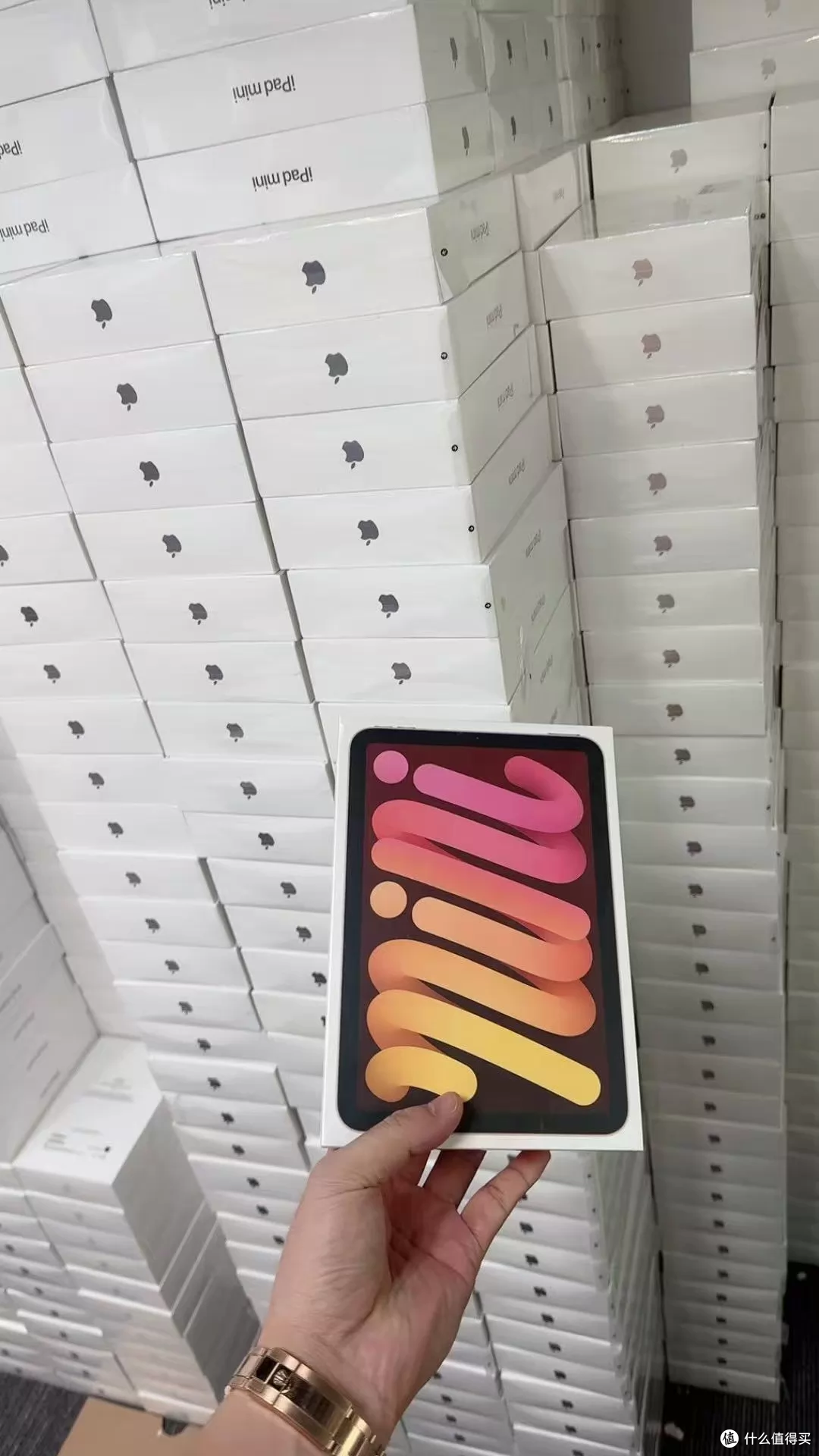 iPad mini7 卖2999元,型号那栏却填着六代