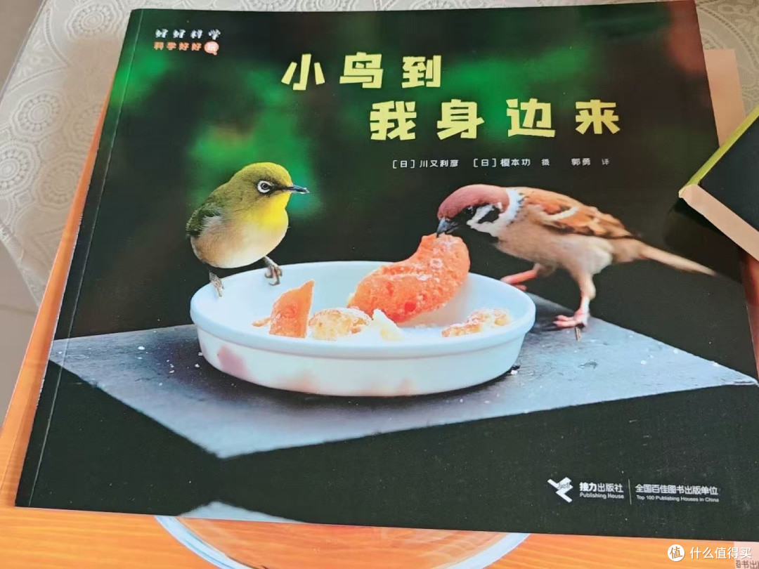 科学好好玩,厨房恐龙土豆全都有