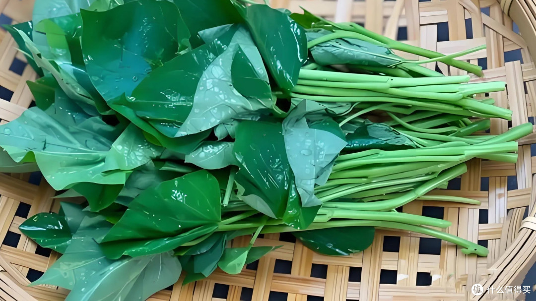入秋后3种“黄金菜”别错过,鲜嫩营养正当时,价格不贵还养人!