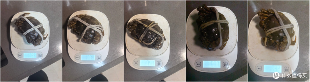 可惜没有白吃，最好都秤一下，说不定就是你白嫖了