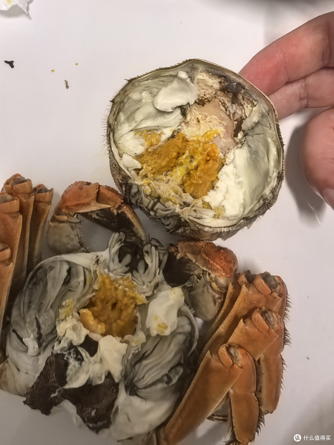 鱻谣3两母蟹完全可吃!