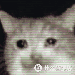 等等党如今最适合买的显卡?5060Ti成了全场最佳性价比?