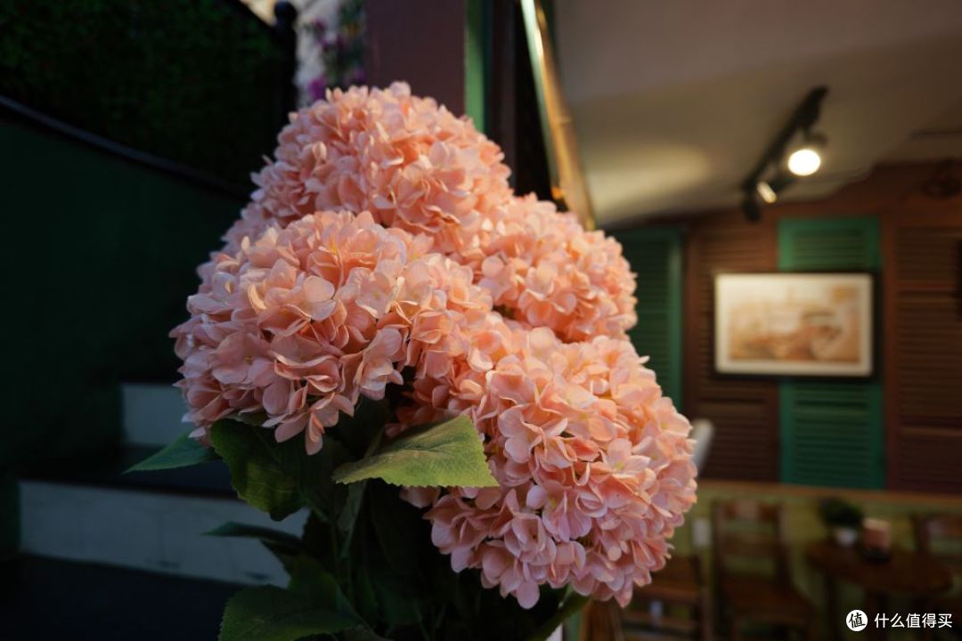 轻随行广上镜 LUMIX S 20mm F2.5 开启预约, 首发期间直省600