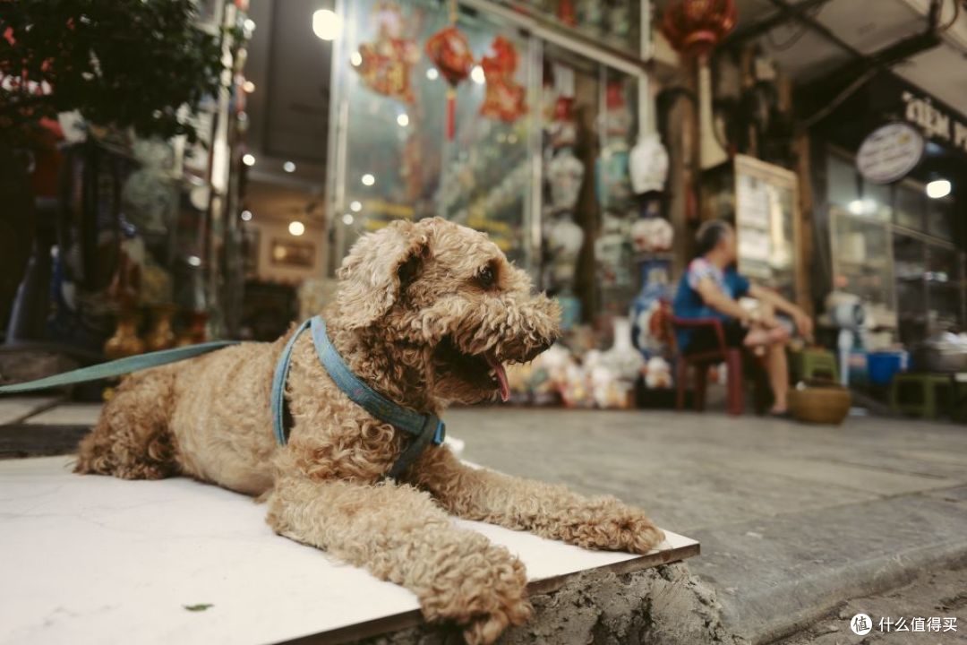 轻随行广上镜 LUMIX S 20mm F2.5 开启预约, 首发期间直省600