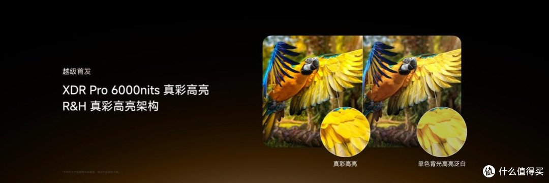海信新一代性能旗舰E7S Pro+正式发布,原生真彩再进阶
