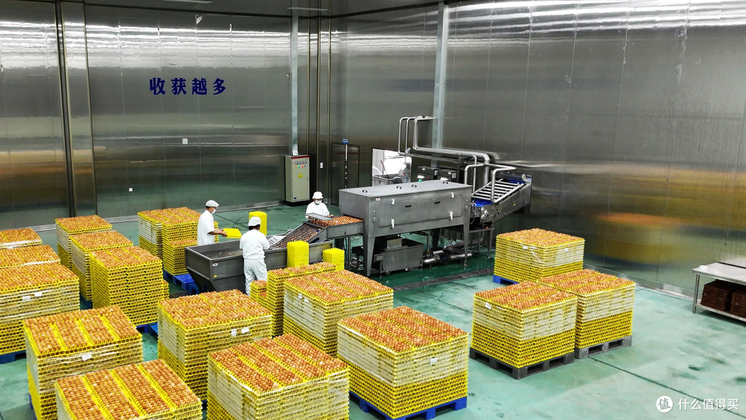 盒装蛋液能不能冷冻？分装、化冻与化了之后的用法