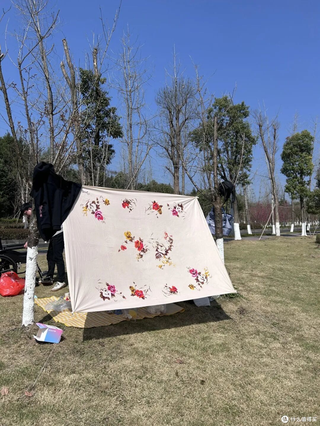 露营装备，也有“邪修版”？果然，还是年轻人的脑子更好使