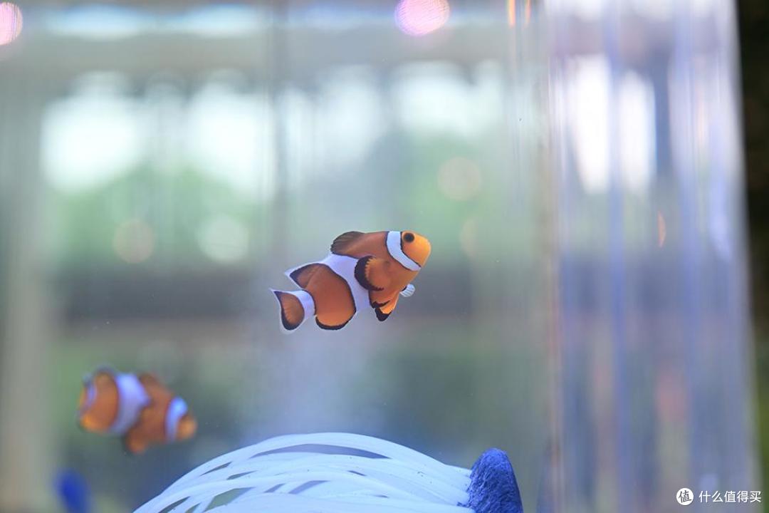 尼康Z5IIC首发评测:全画幅微单的全新创作体验