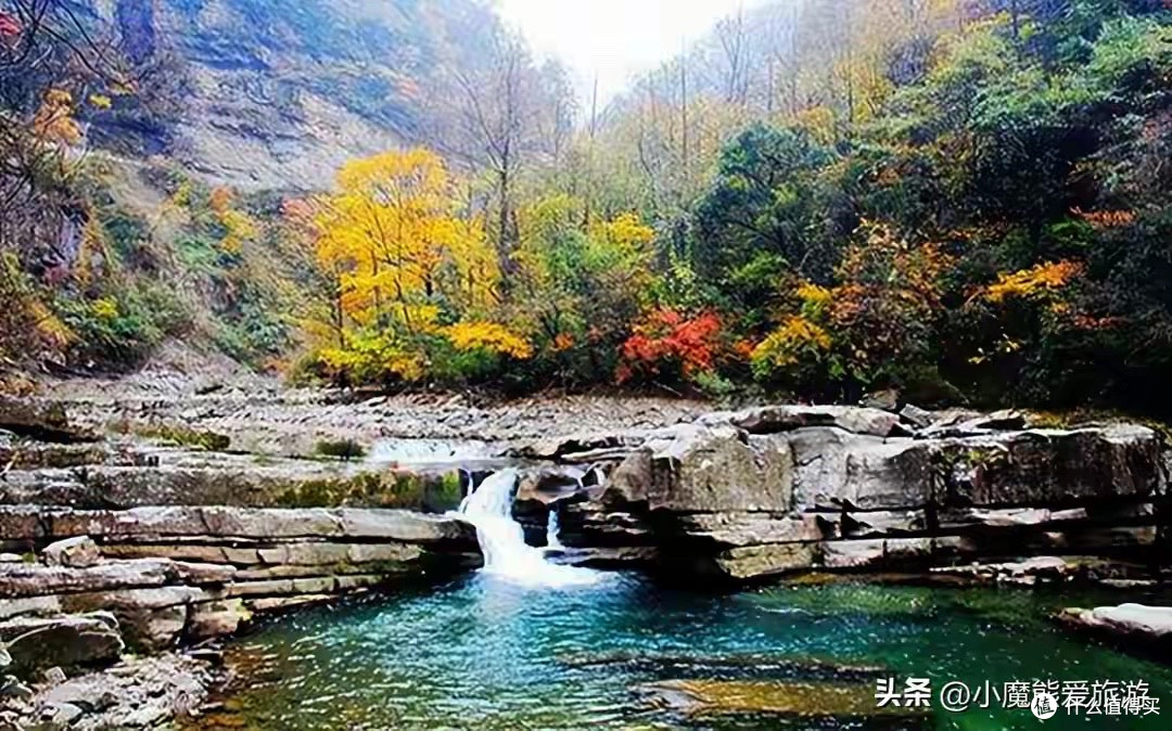 宝宝吃有什么益生菌排名 5款实测避坑指南