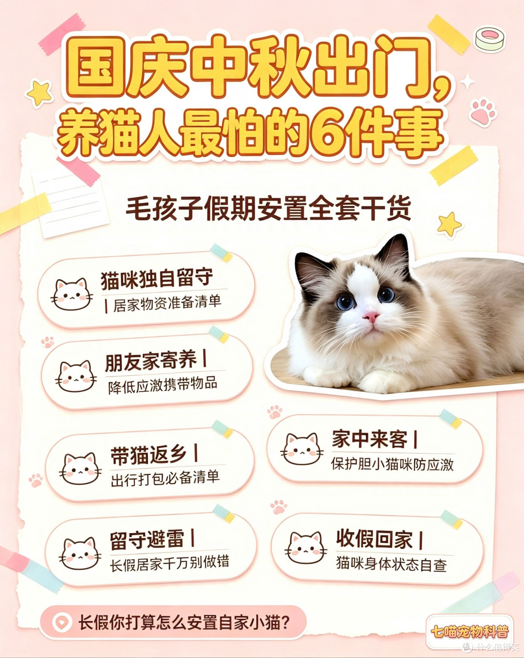 长假出行养猫攻略|6种猫咪安置方案,新手铲屎官收藏