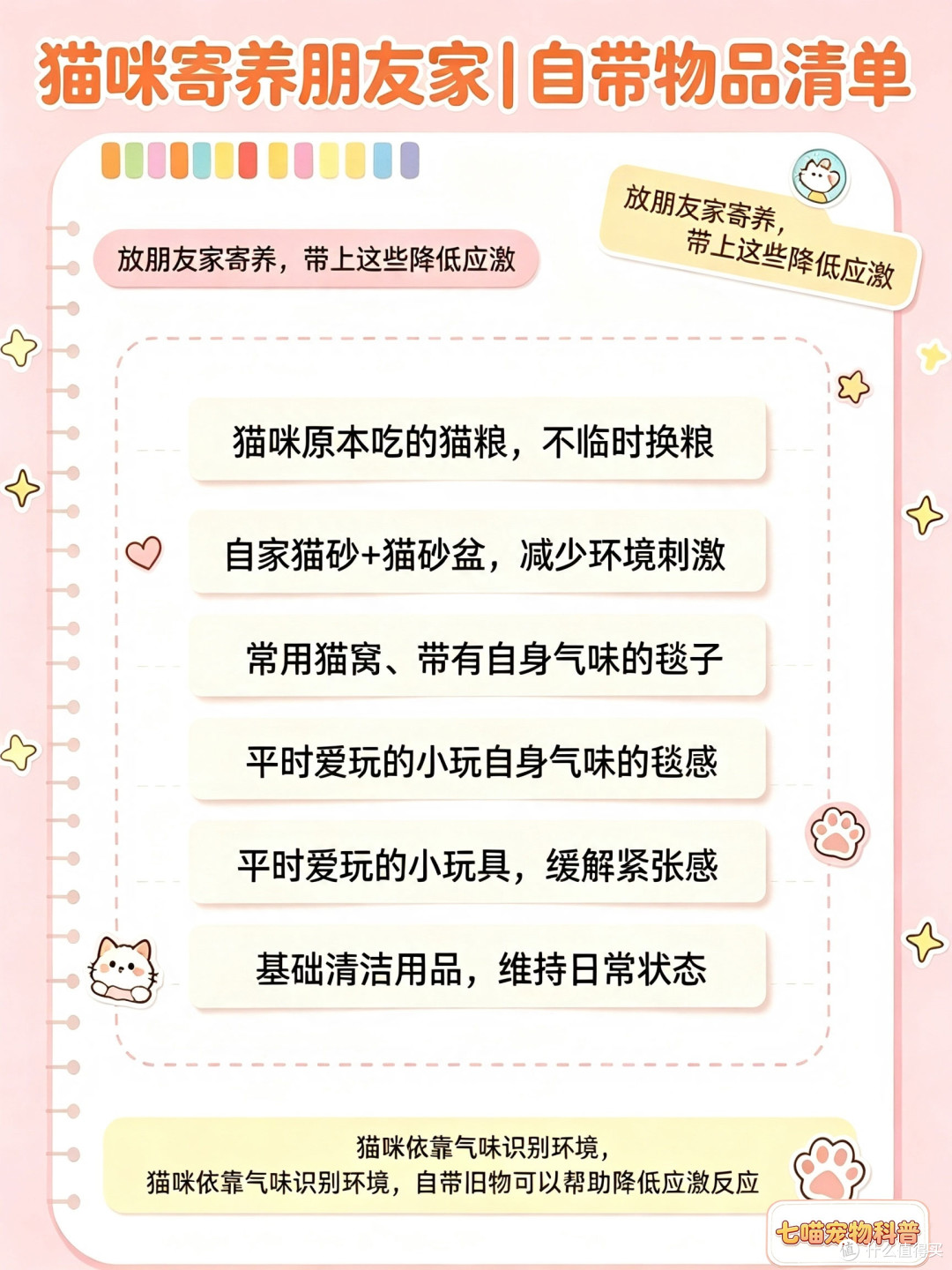 长假出行养猫攻略|6种猫咪安置方案,新手铲屎官收藏