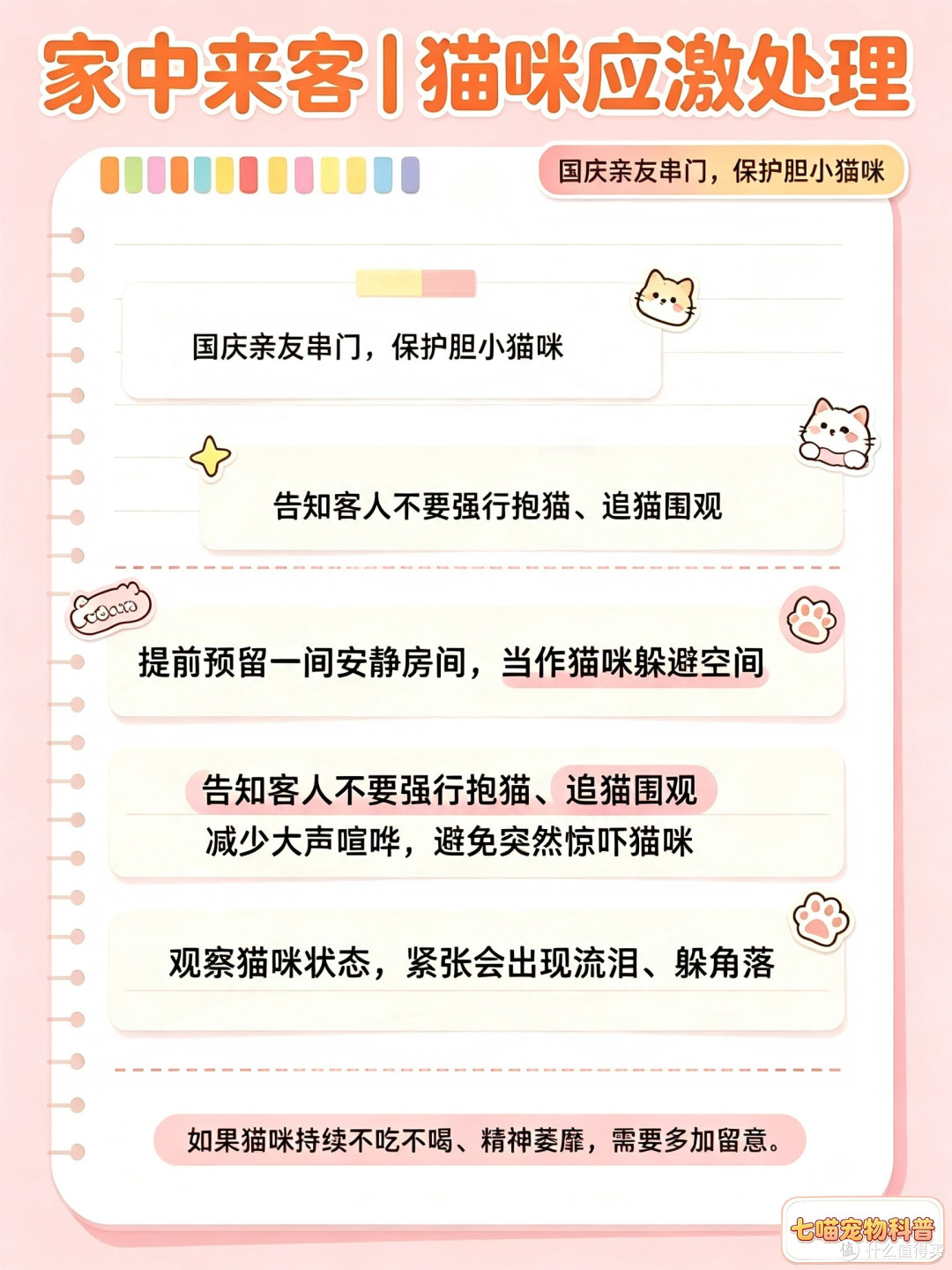 长假出行养猫攻略|6种猫咪安置方案,新手铲屎官收藏