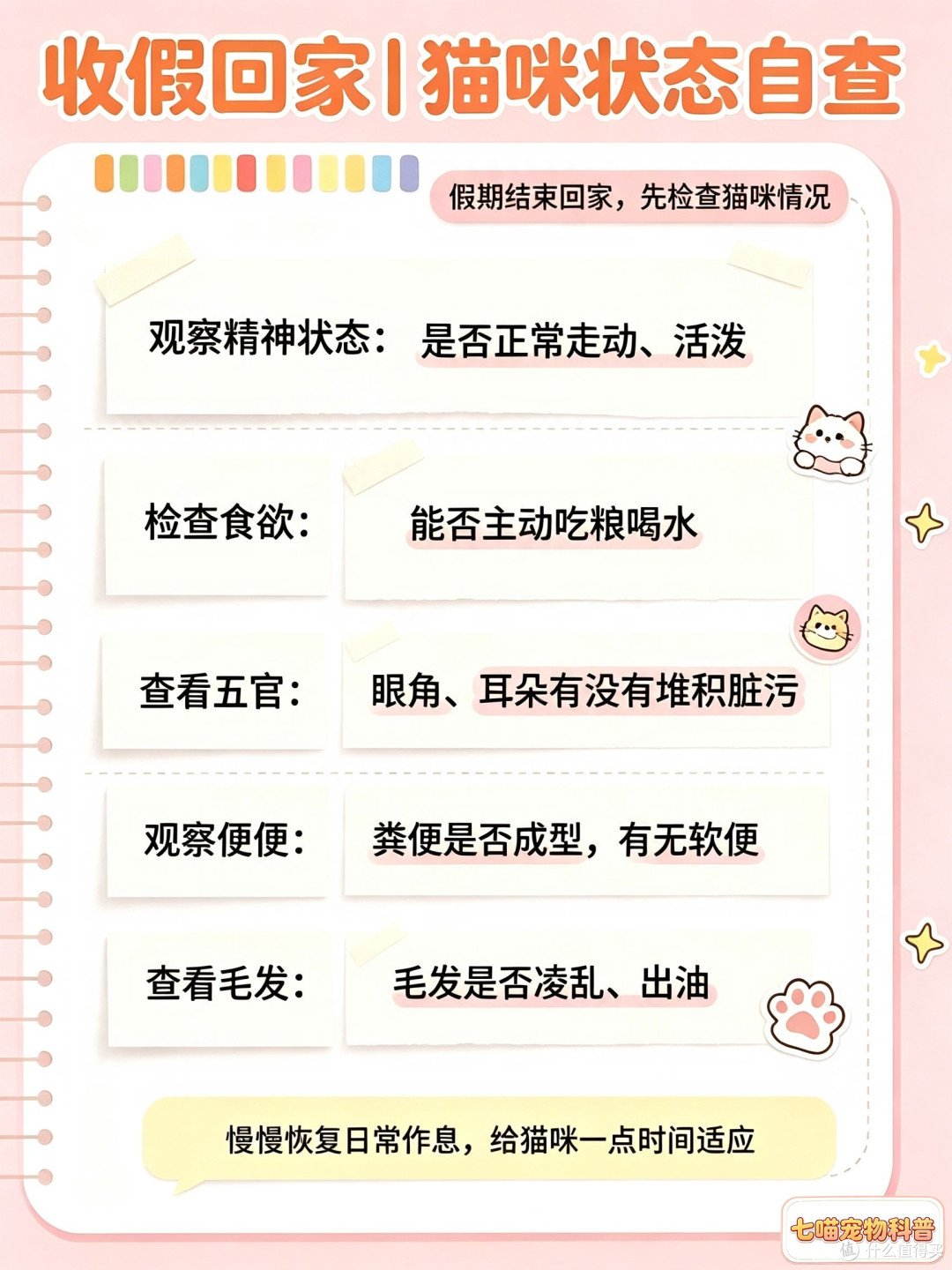 长假出行养猫攻略｜6种猫咪安置方案，新手铲屎官收藏