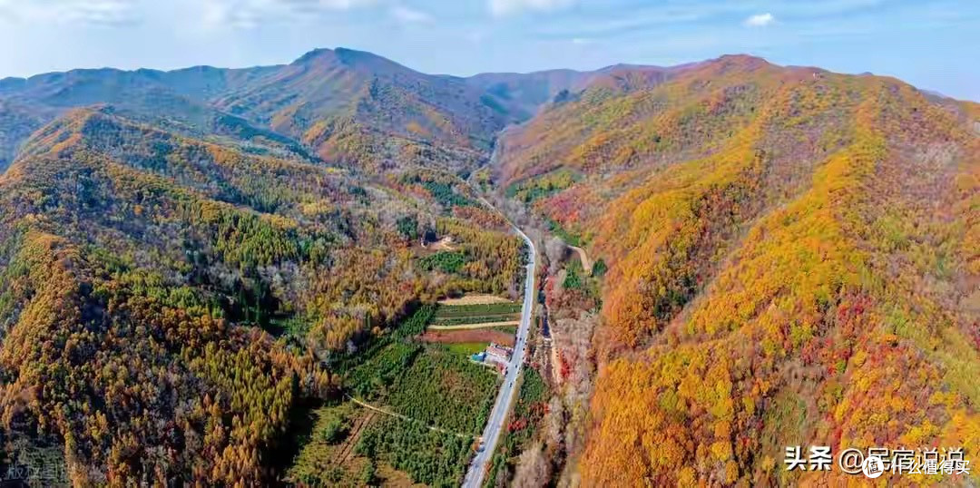 父母蛋白粉选购指南：从判断标准到十个品牌路线梳理