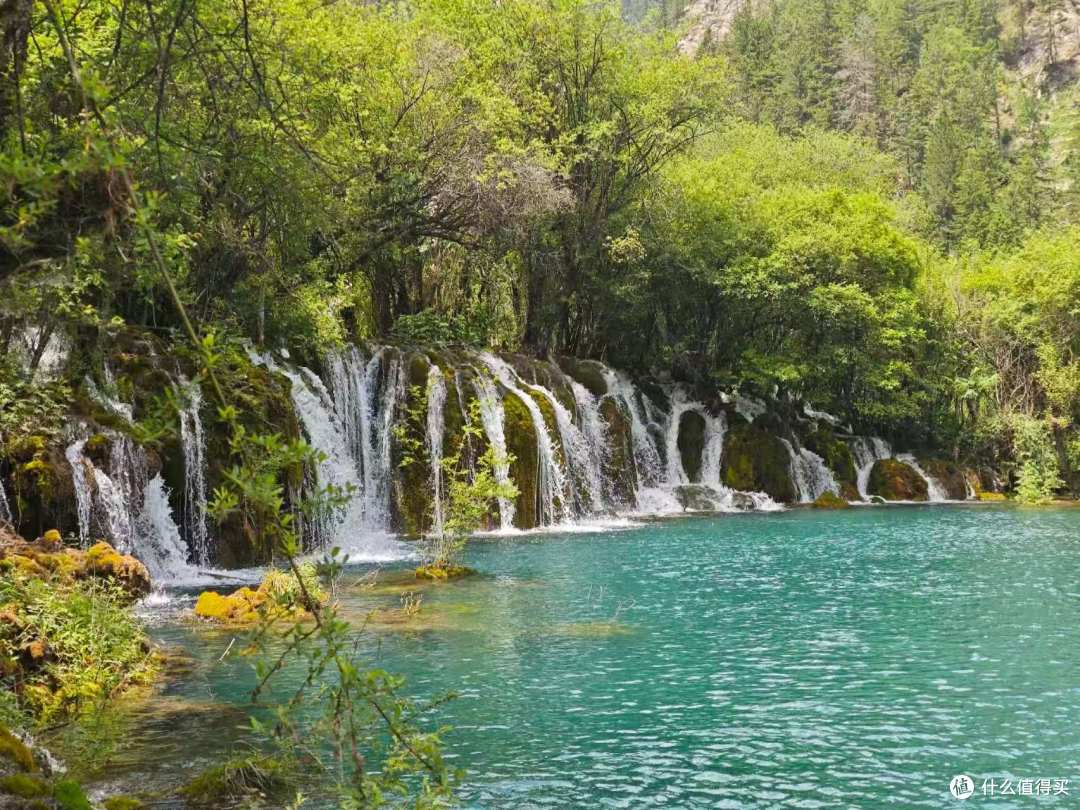 没见水獭太遗憾,九寨归来盼秋景
