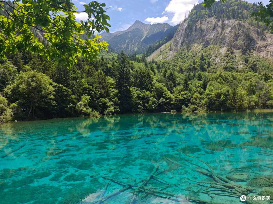 没见水獭太遗憾,九寨归来盼秋景