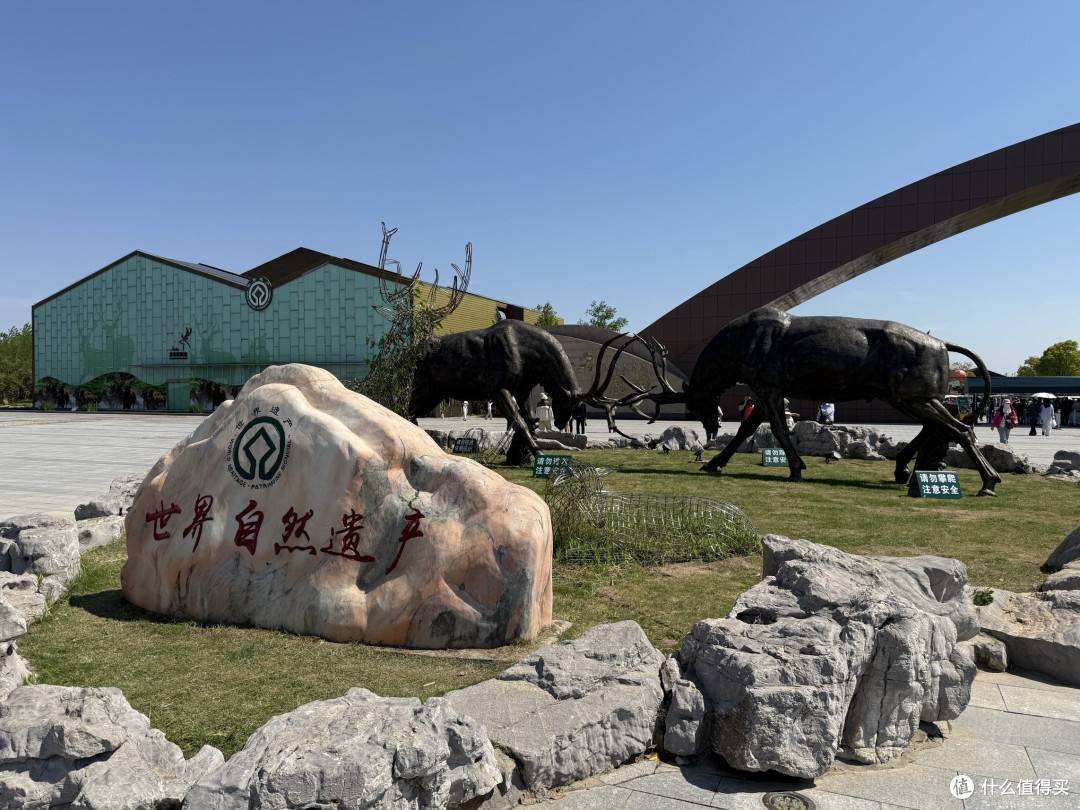 自驾山东江苏:特斯拉去盐城竹林饭店吃鱼汤面世遗保护区看麋鹿
