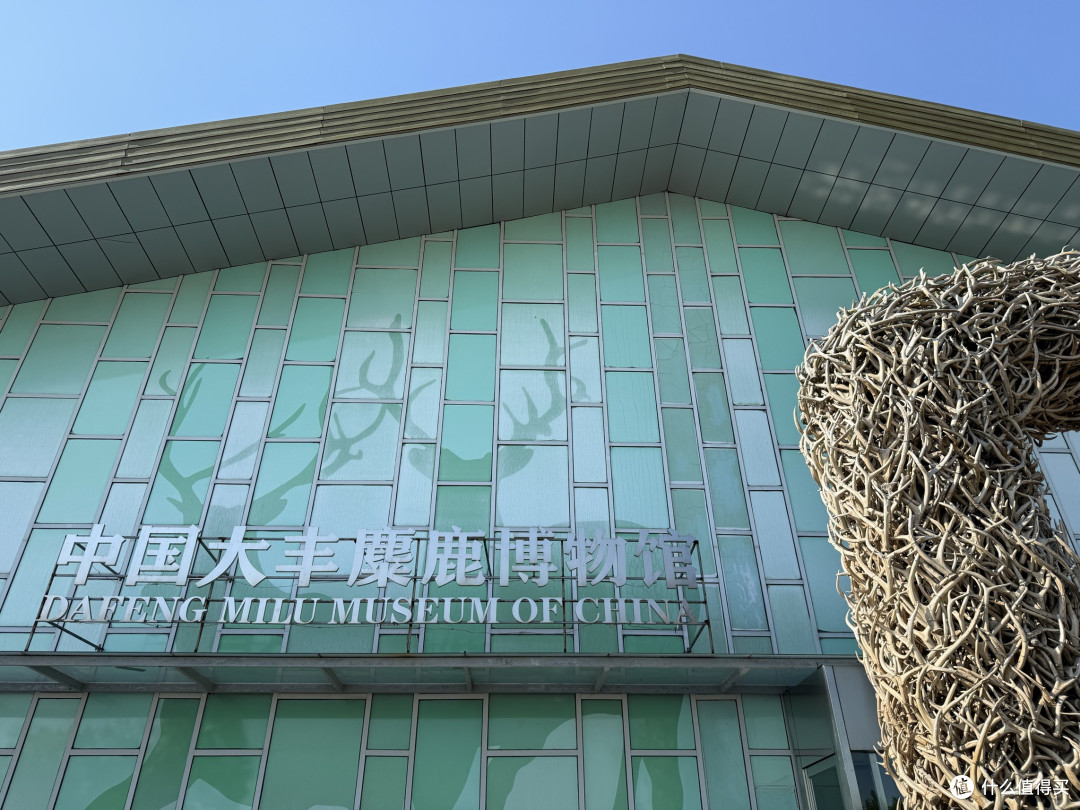 自驾山东江苏:特斯拉去盐城竹林饭店吃鱼汤面世遗保护区看麋鹿