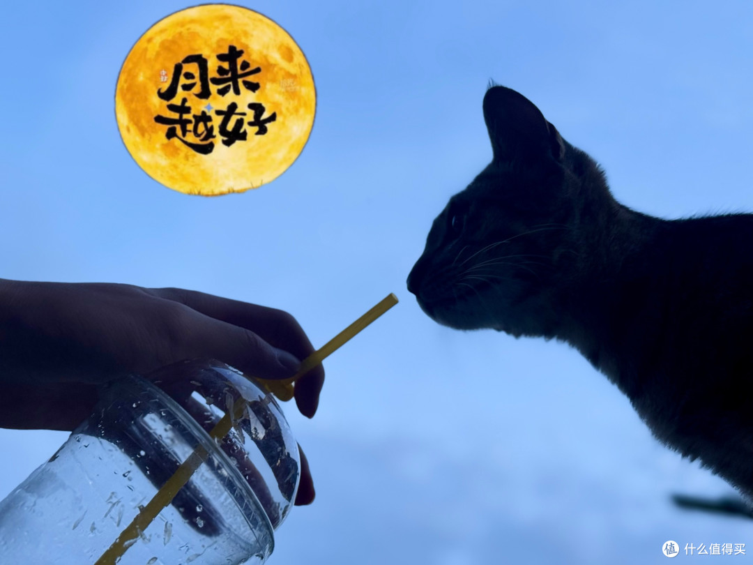 月光光，照地堂，广式月饼甜又香