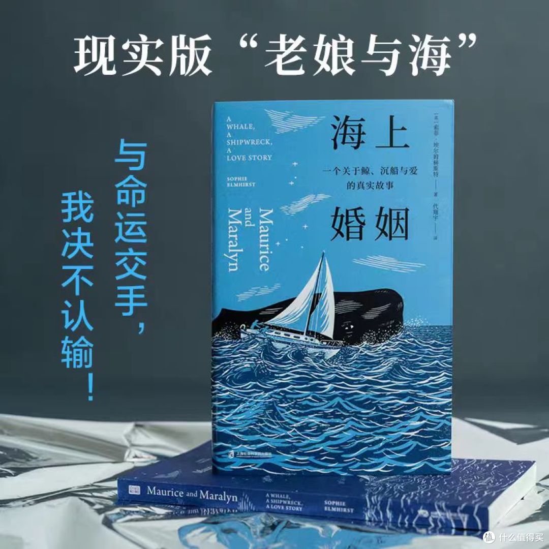 海上婚姻：当鲸鱼撞碎他们的船，他们才发现彼此才是唯一的救生艇