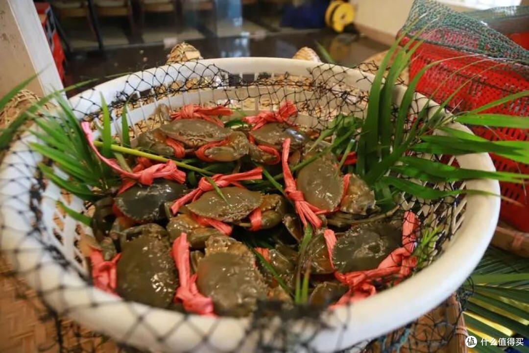 全国有多少种“螃蟹”?哪个品种最好吃?今天全读懂,来涨知识了