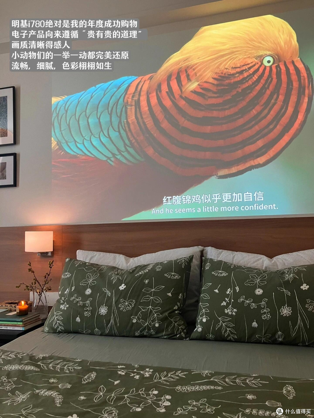 家用投影全屋四场景改造实测