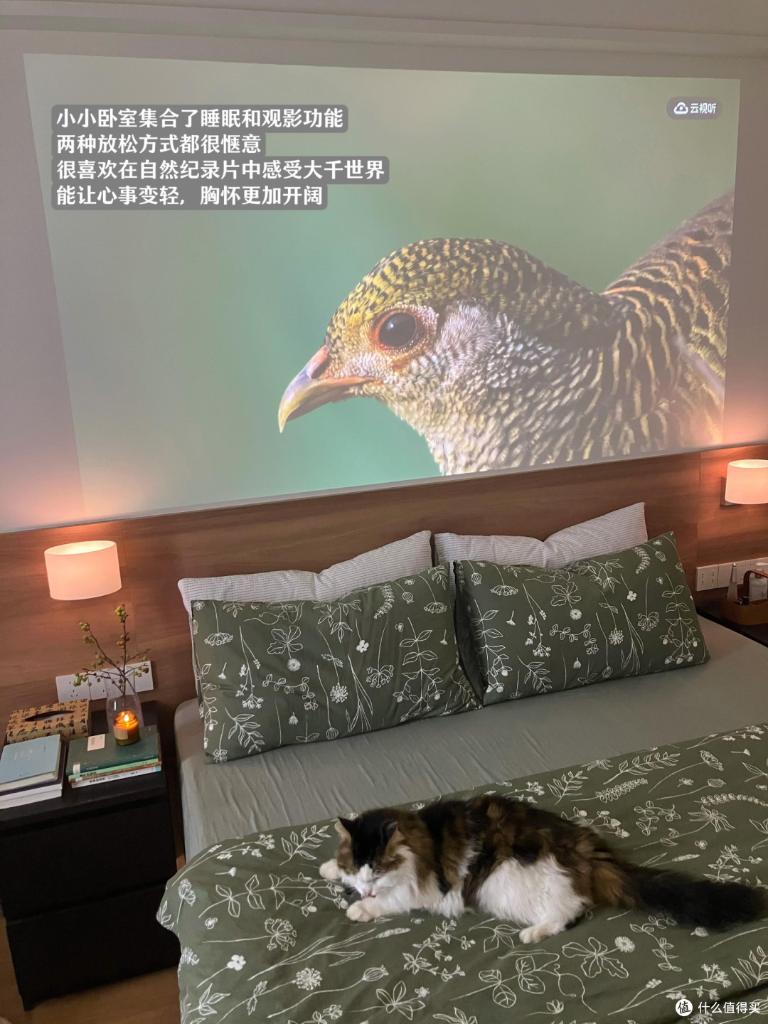 家用投影全屋四场景改造实测