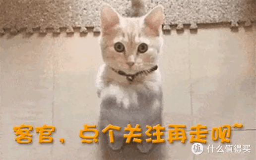 力压董宇辉登榜第一！千万网红顶流“复活”了，曾被限高停更3年