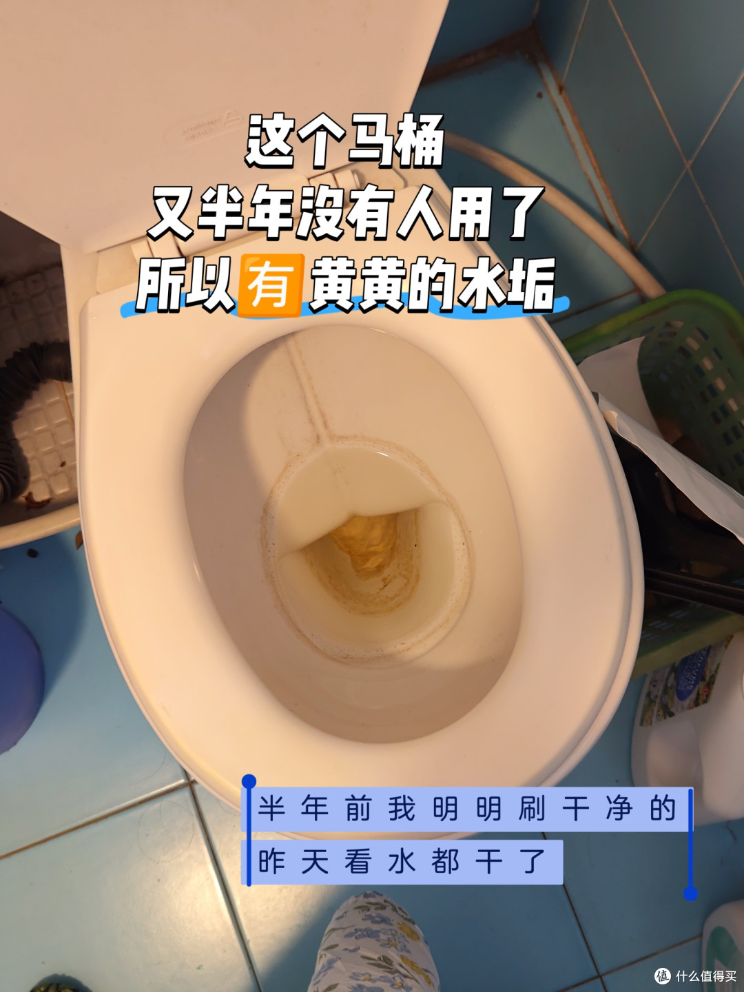 不用马桶清洁液,零成本刷马桶,你会用什么别的替代品?