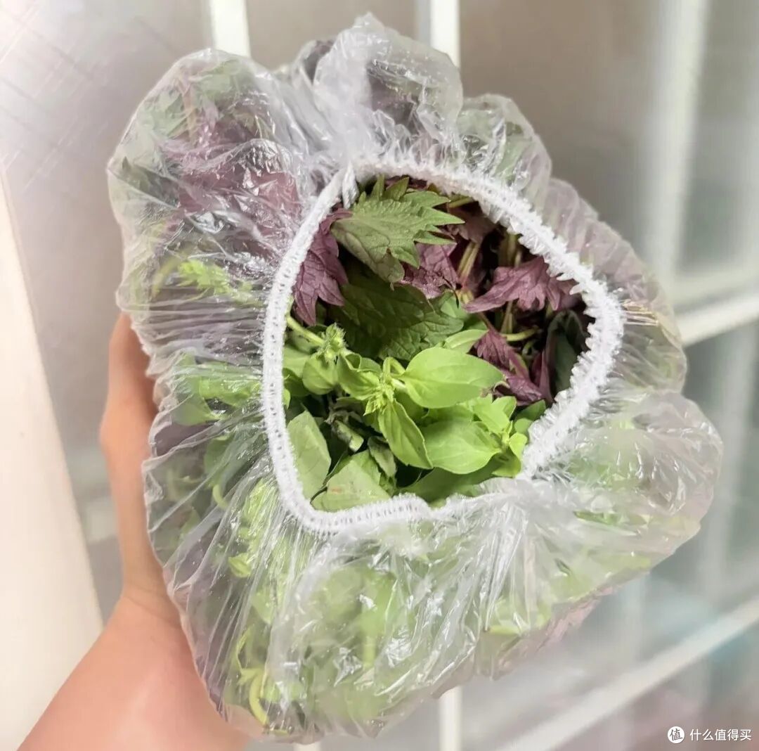 第一次对「保鲜罩」产生了敬意!打开思路后,简直就是家居神器