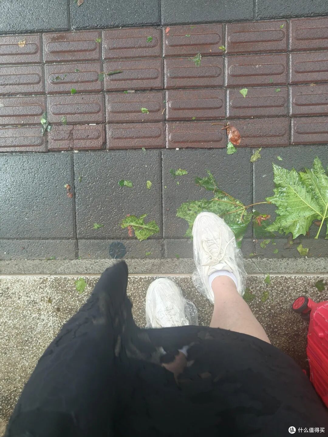 第一次对「保鲜罩」产生了敬意!打开思路后,简直就是家居神器