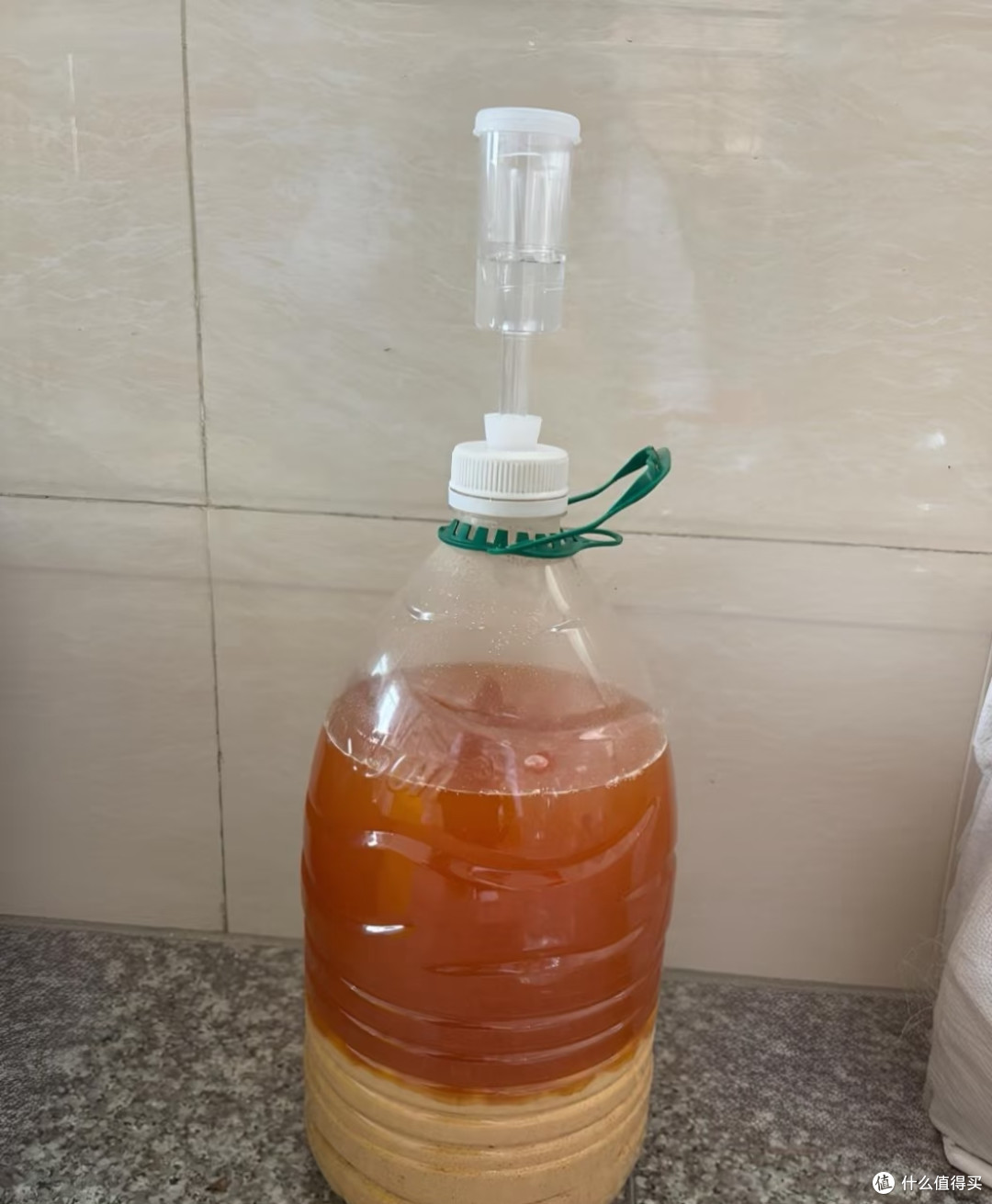 三角梅最爱喝这2种水!交替喂2周,株型饱满花叶浓密,越养越好看