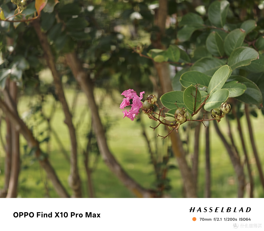 Find X10 Pro Max上手 7499带8折保值换新 依旧肉疼