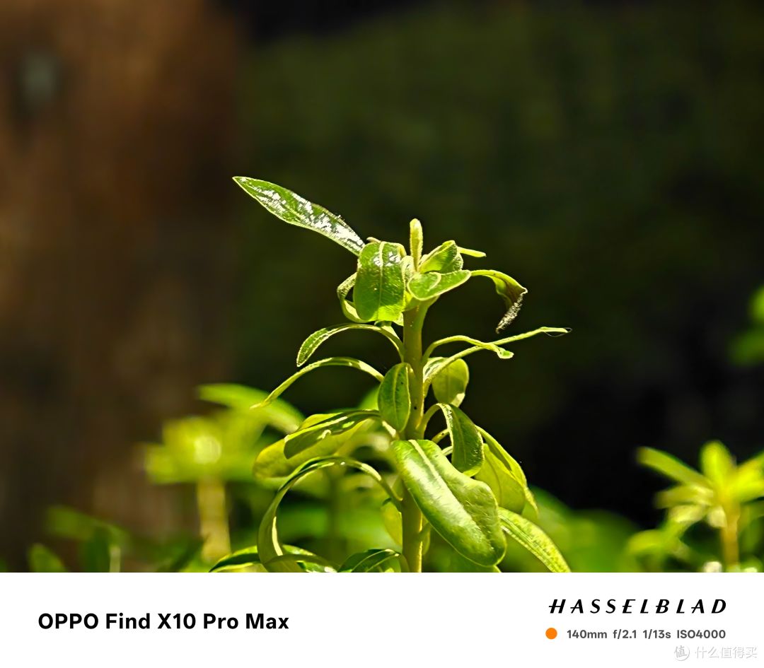 Find X10 Pro Max上手 7499带8折保值换新 依旧肉疼