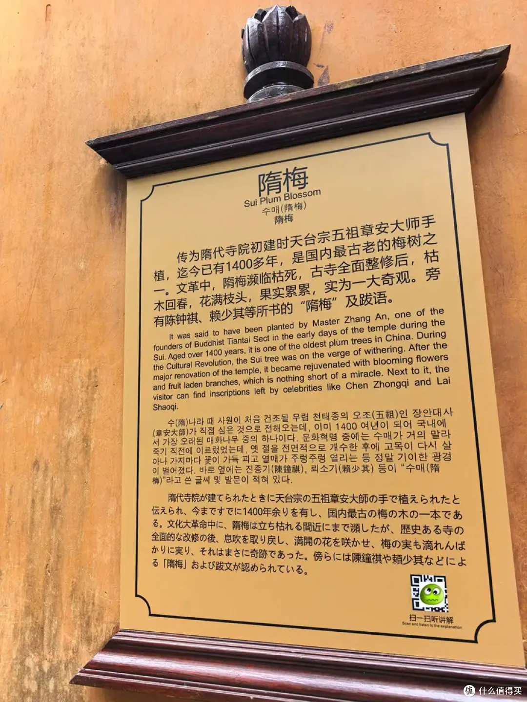 古寺听禅，仙山望云，古城寻味-台州行流水记-2026.09