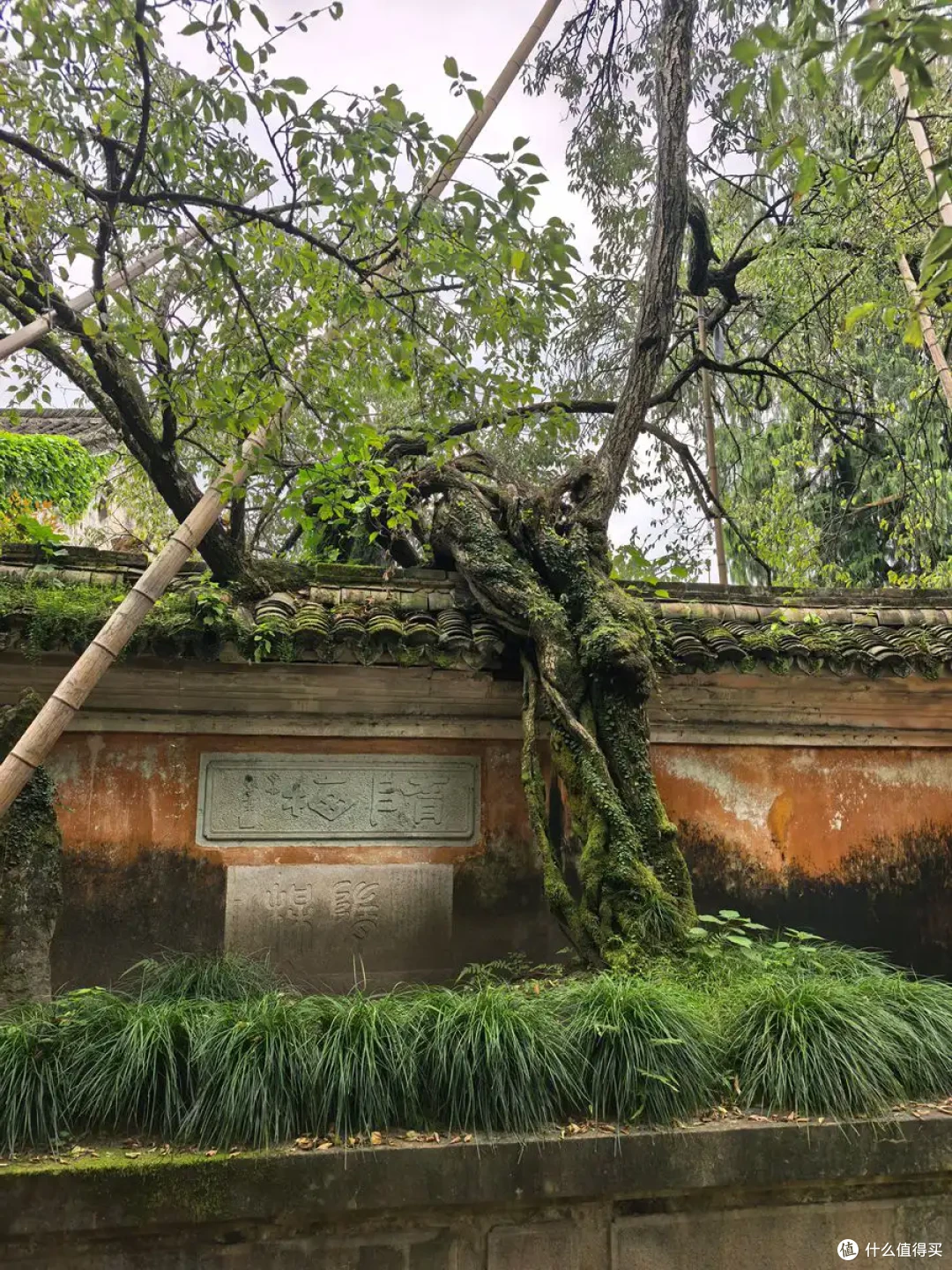 古寺听禅，仙山望云，古城寻味-台州行流水记-2026.09