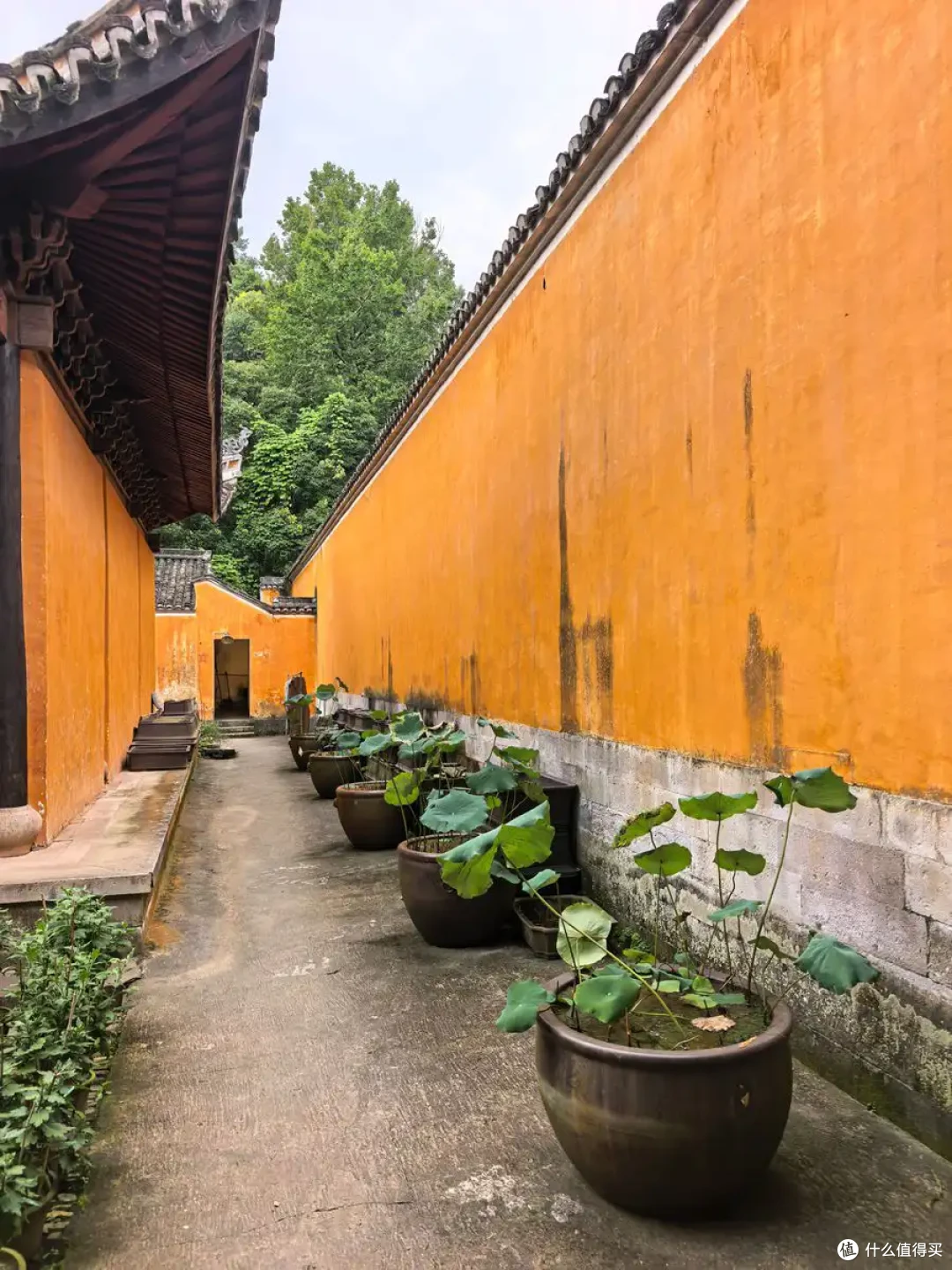 古寺听禅，仙山望云，古城寻味-台州行流水记-2026.09