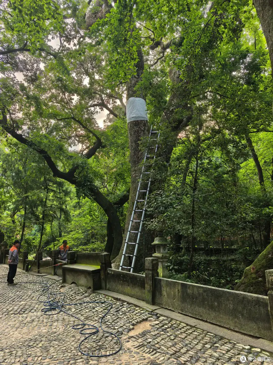 古寺听禅，仙山望云，古城寻味-台州行流水记-2026.09