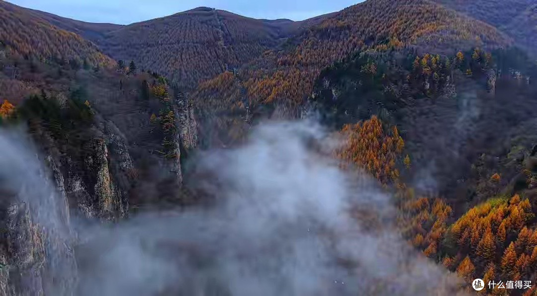 底妆前起皮别急着换粉底 10款精华从日常保湿开始了解