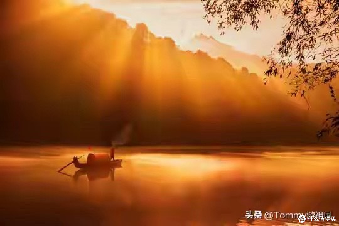 儿童补脑DHA藻油哪个品牌效果好 从早餐桌开始选