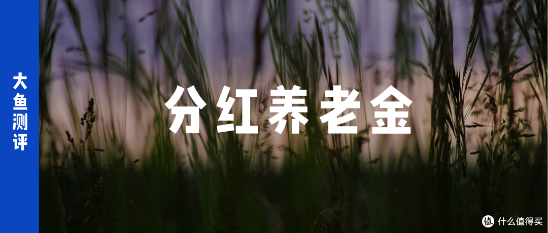 大鱼测评第1629篇原创