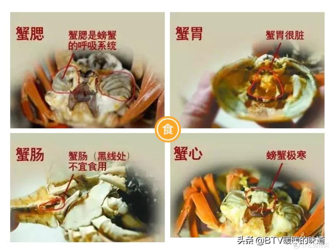 螃蟹不能吃的部位