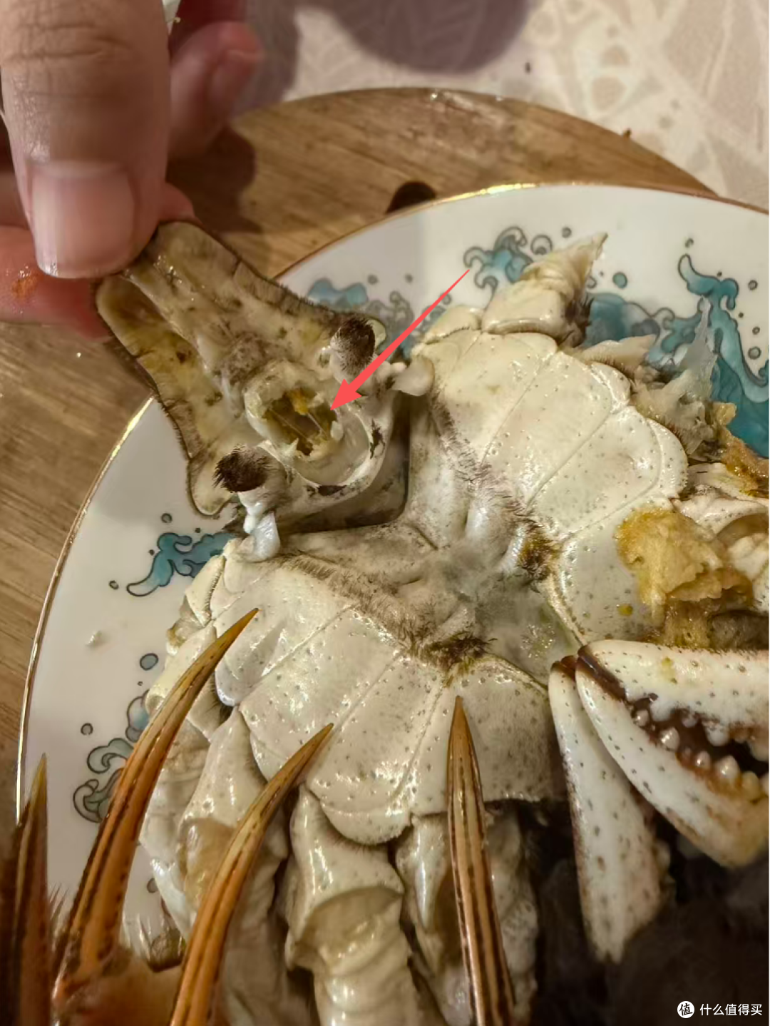 蒸螃蟹壳缝里那坨白的是啥?吃了三十年蟹,今天才搞明白