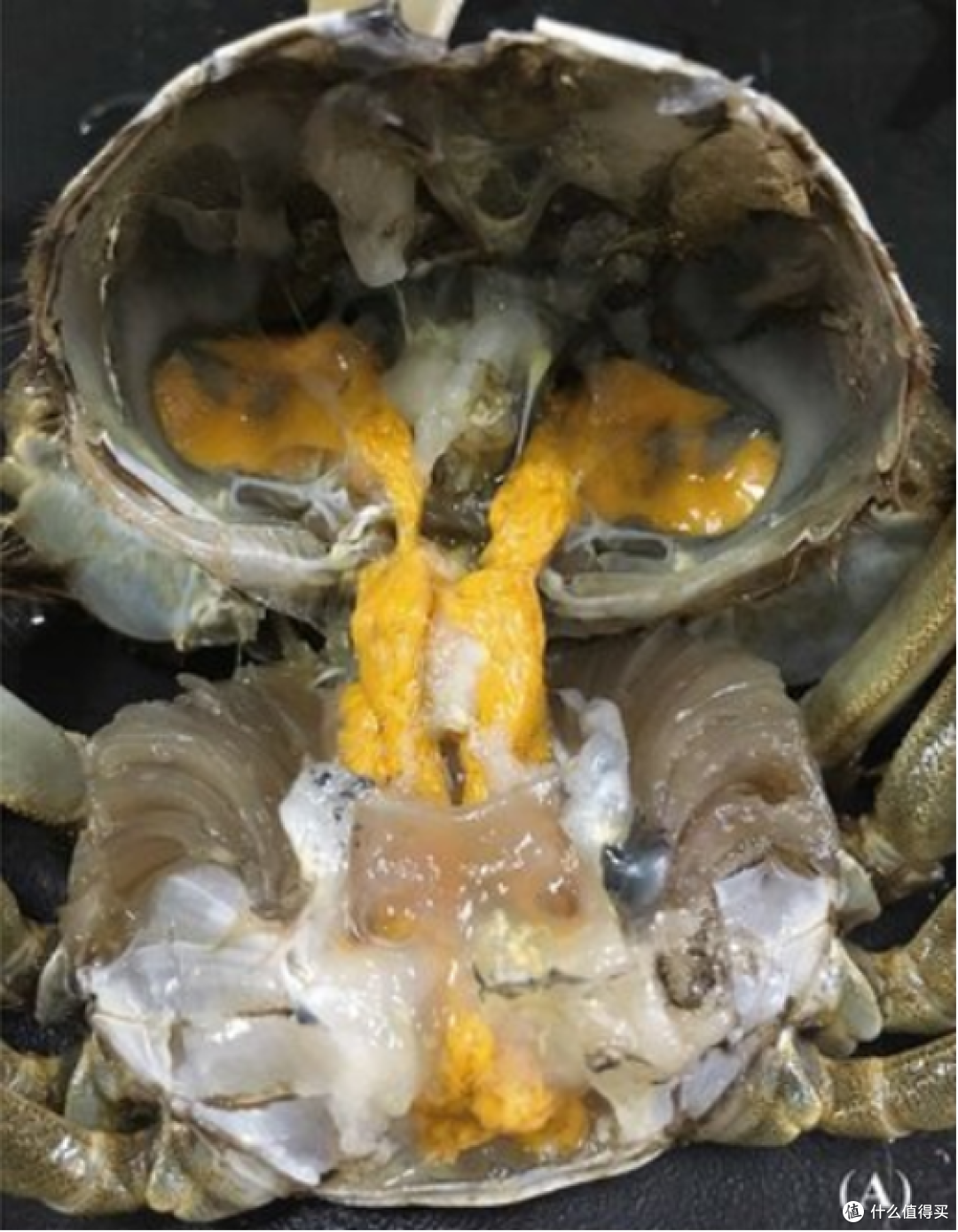 蒸螃蟹壳缝里那坨白的是啥?吃了三十年蟹,今天才搞明白