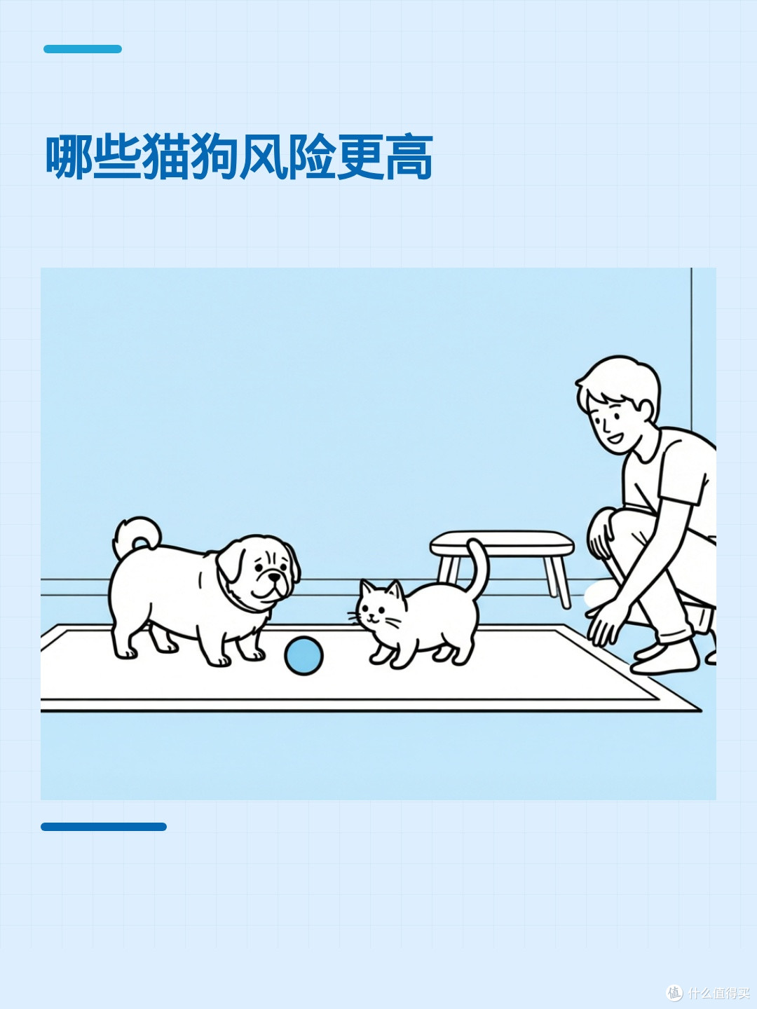 猫狗打鼾时突然没声,是睡眠呼吸暂停吗?